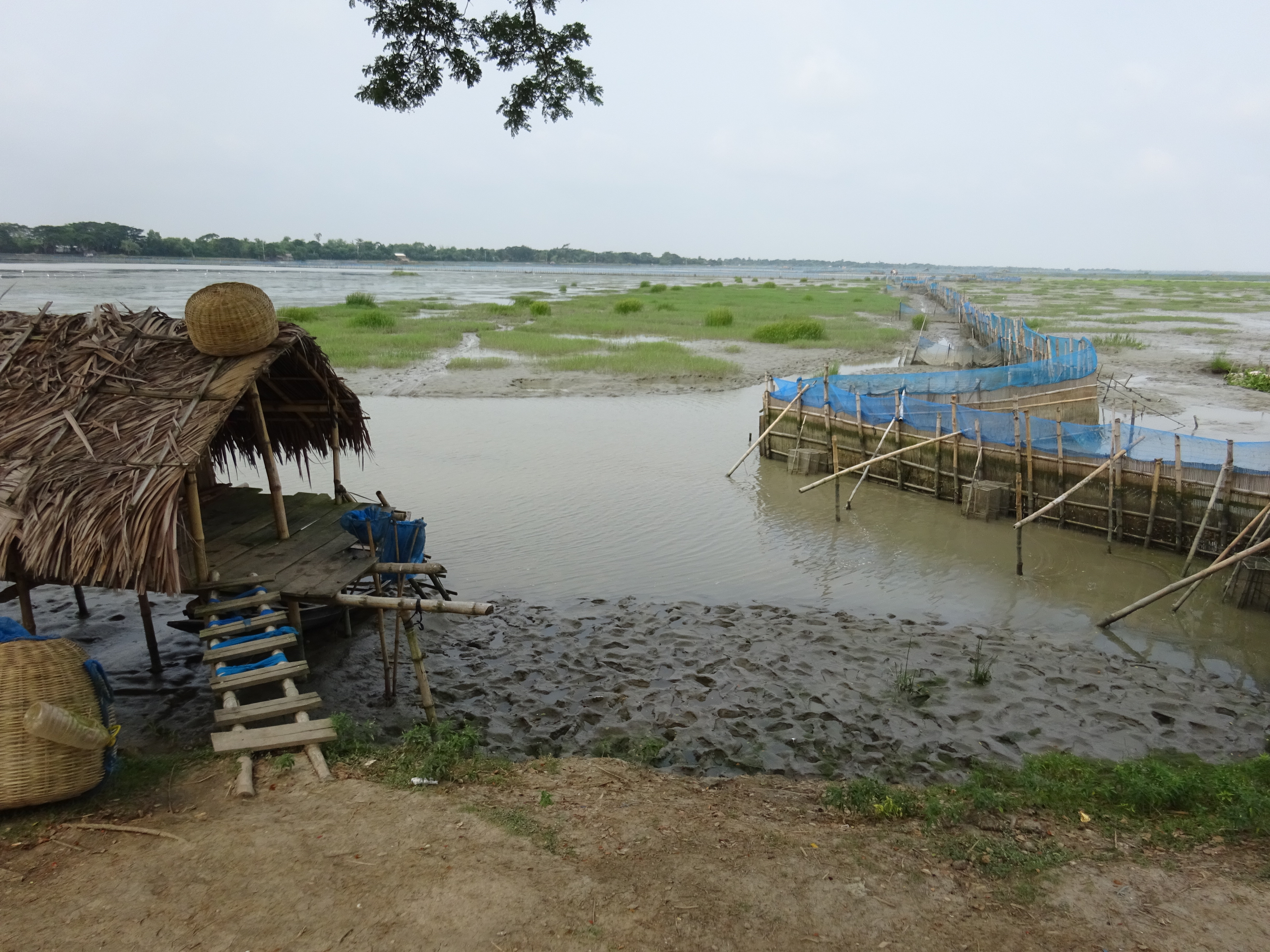 Tidal River Management site in Satkhira District, Bangladesh
