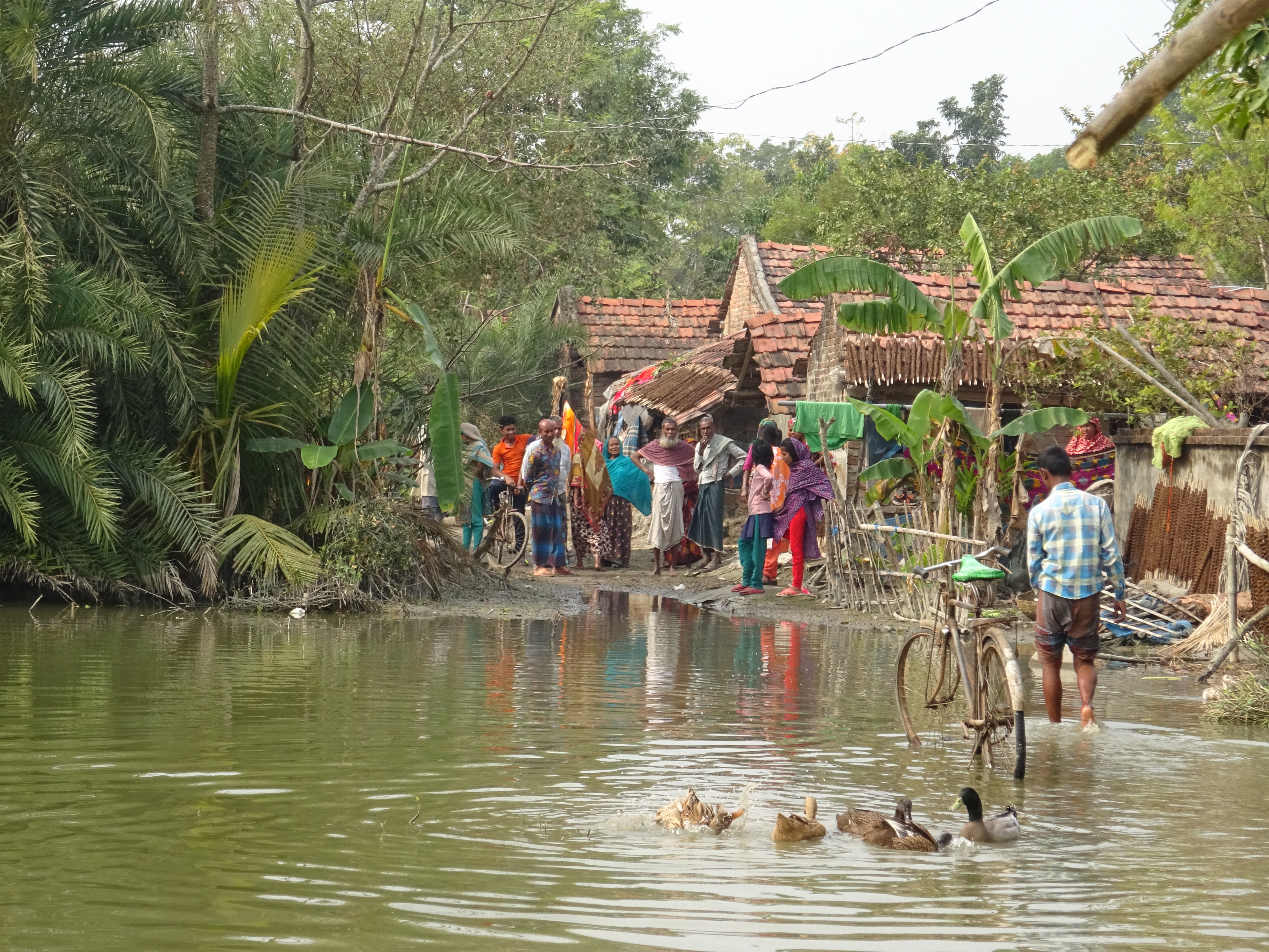 Waterlogging is a severe problem in the densely populated delta of Bangladesh